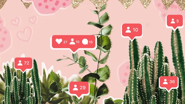 How to Grow Your Instagram Following