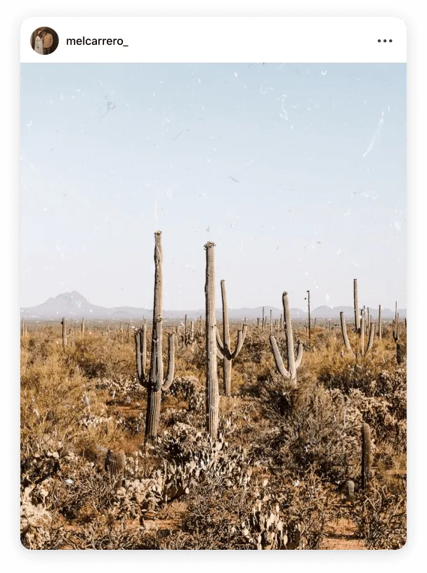 Instagram post by @melcarrero_ authentic fashion