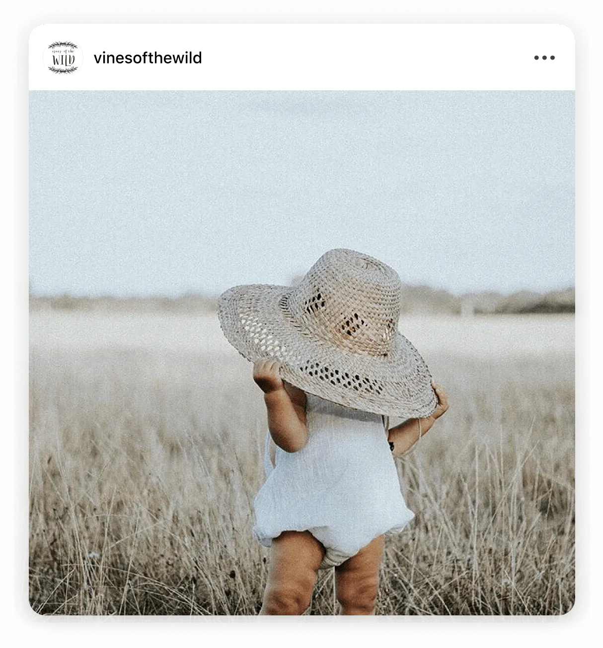 Instagram post by @vinesofthewild nature lifestyle