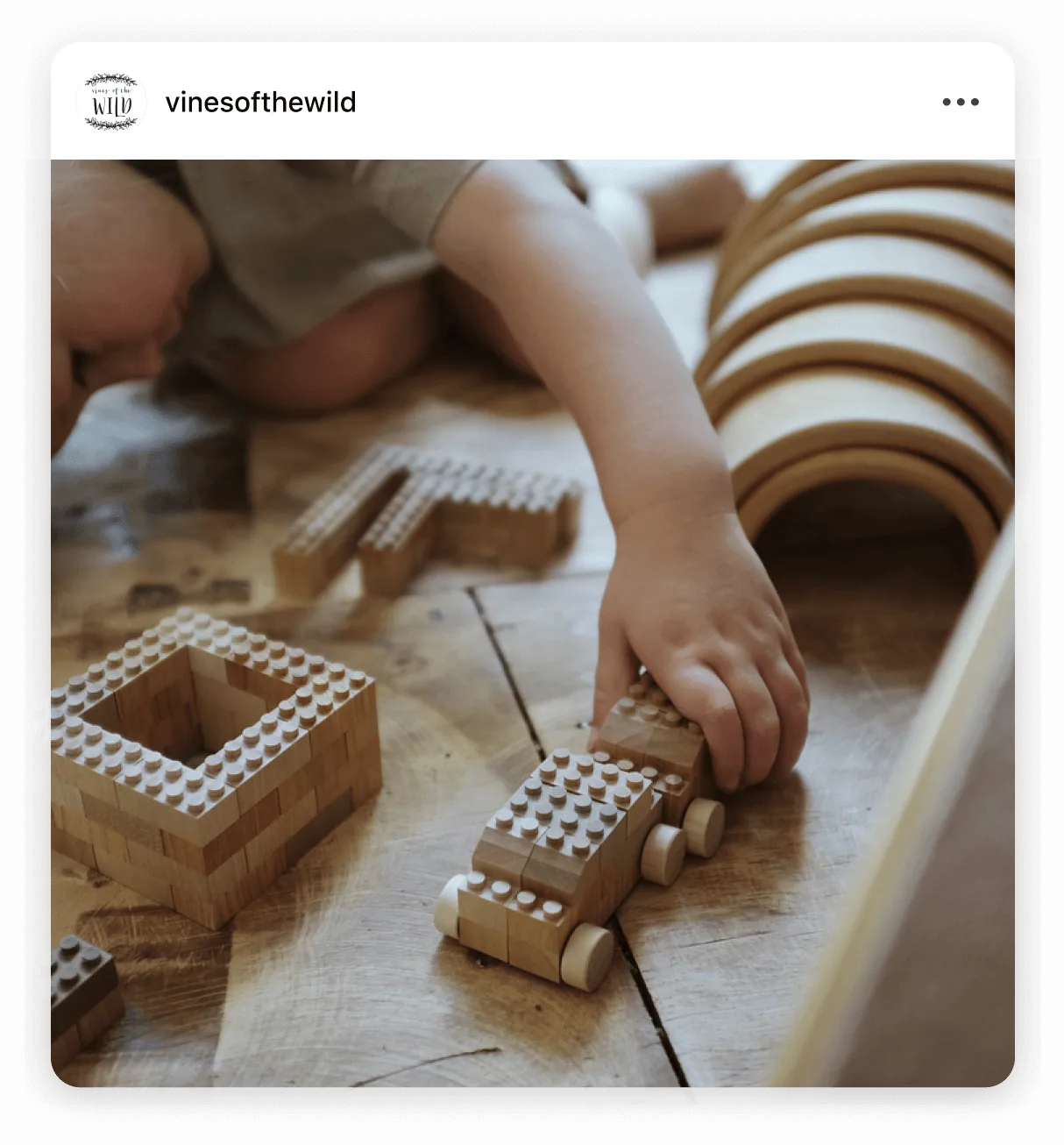 Instagram post by @vinesofthewild motherhood