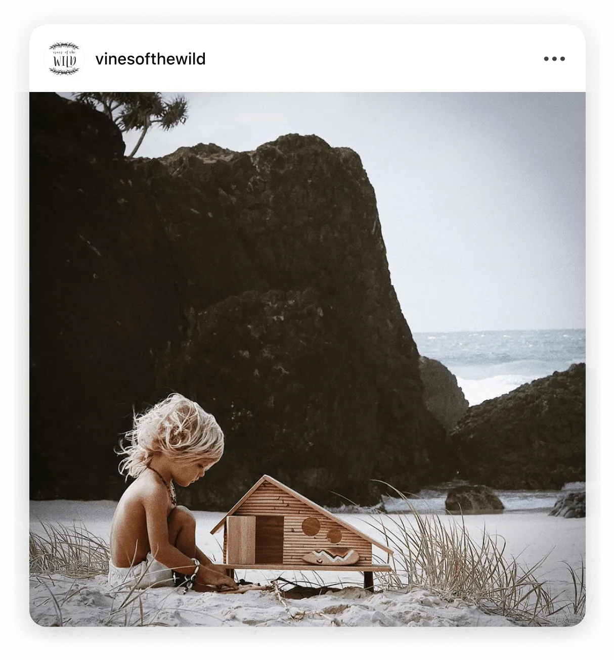 Instagram post by @vinesofthewild nature