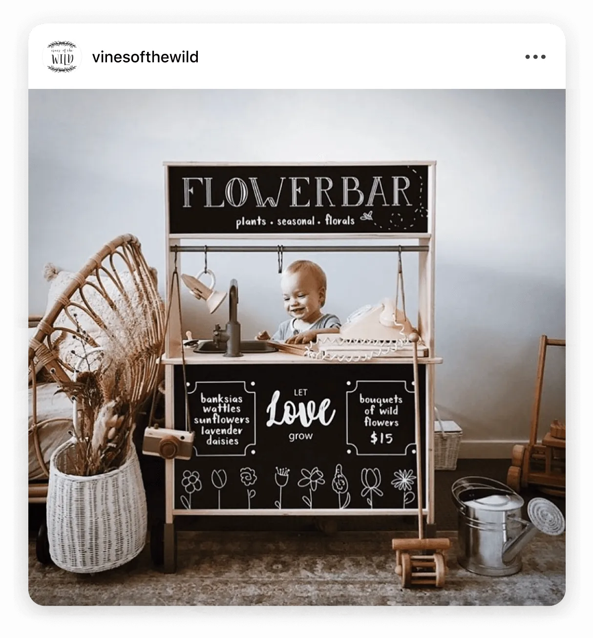 Instagram post by @vinesofthewild family life