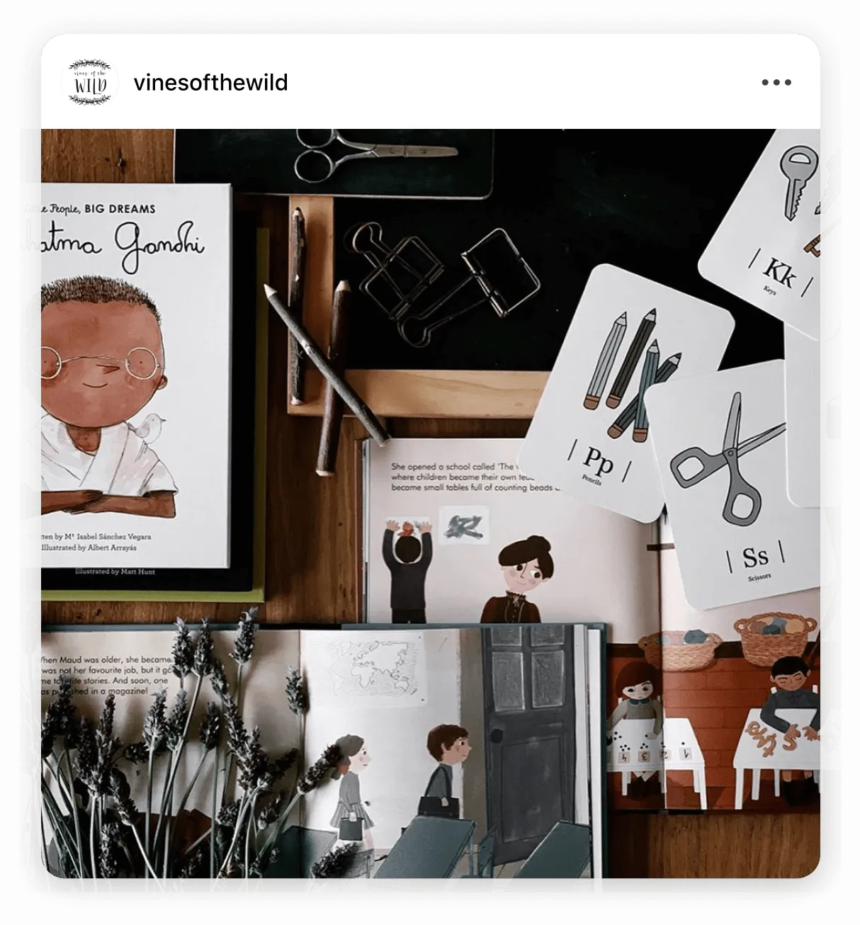 Instagram post by @vinesofthewild outdoor aesthetic