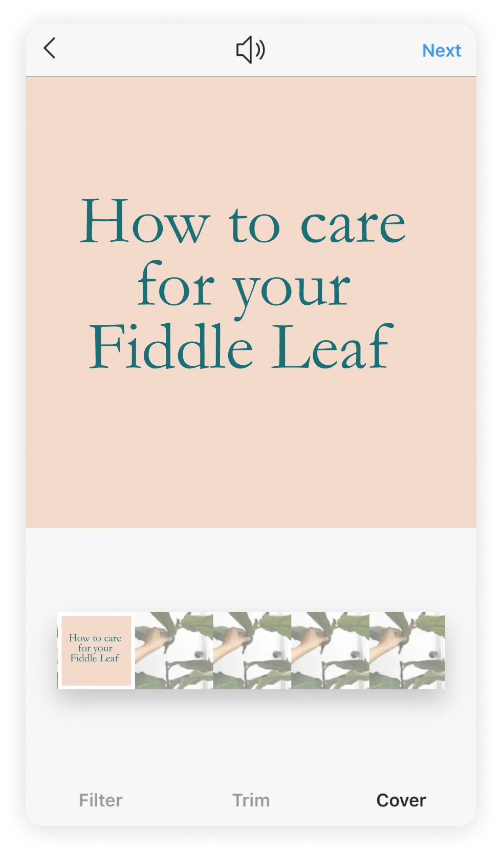 Instagram Hacks | Video Cover Image