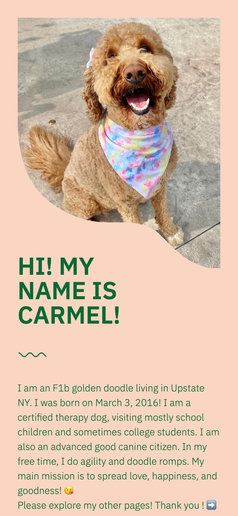 Website by @carmelgoldendoodle