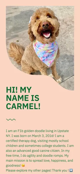 Website by @carmelgoldendoodle