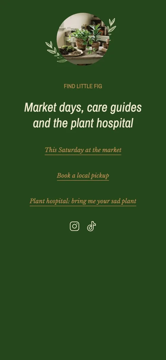 The Links page of an example Milkshake site for a plant shop