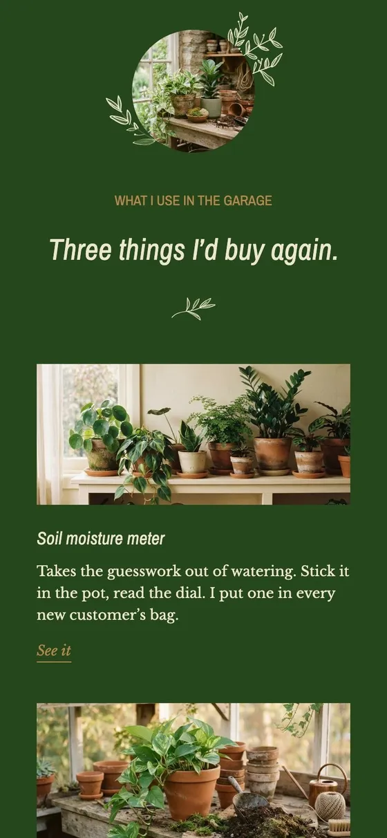 The Top Picks page of an example Milkshake site for a plant shop