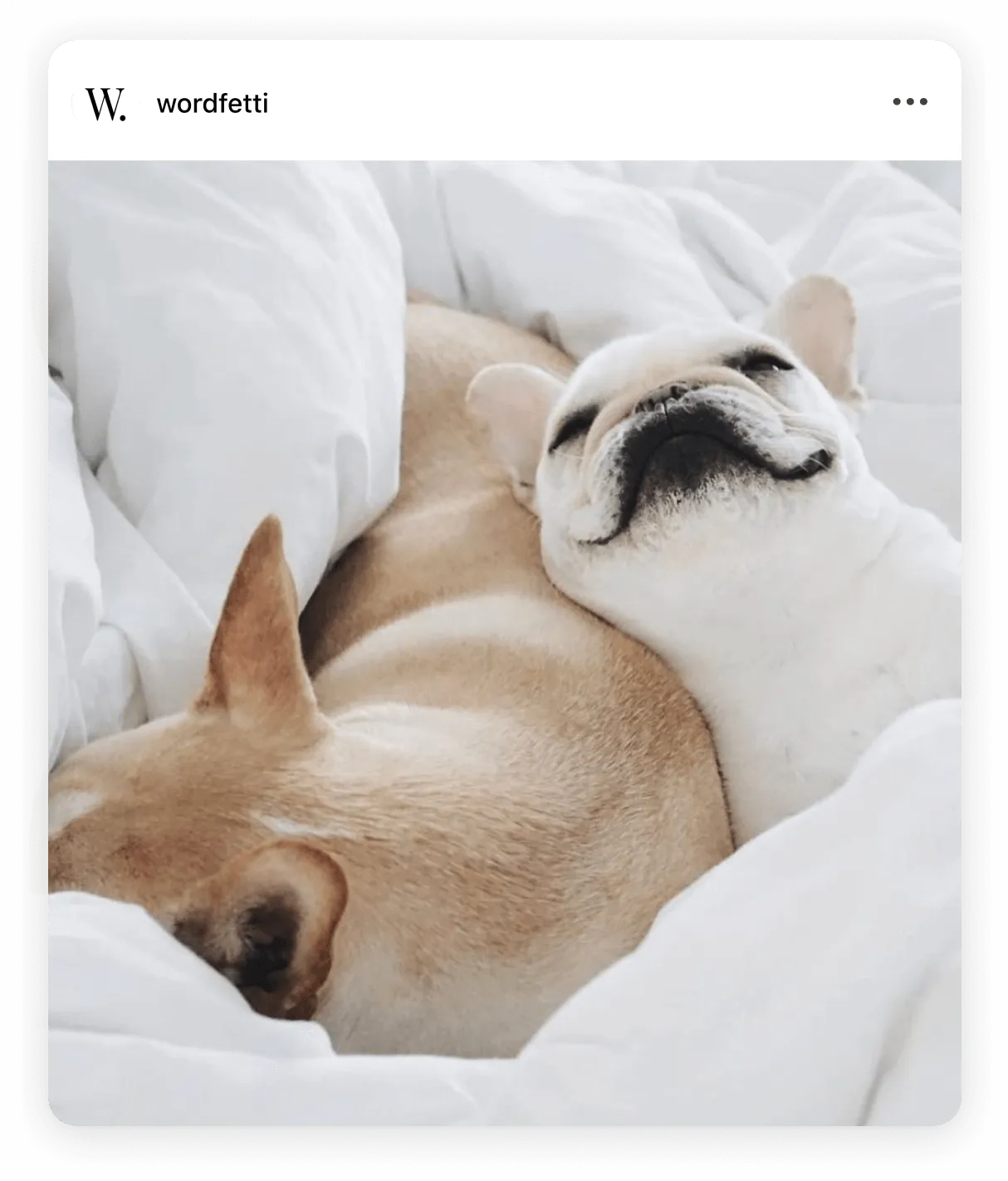 Instagram post by @wordfetti marketing tips