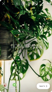 Milkshake Hack | Turn Live Photos into Boomerangs